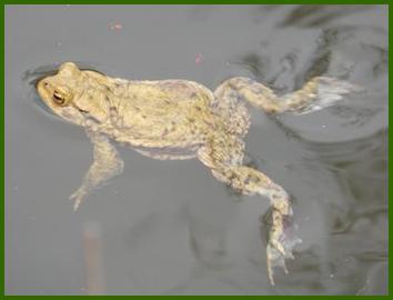 image011.jpg