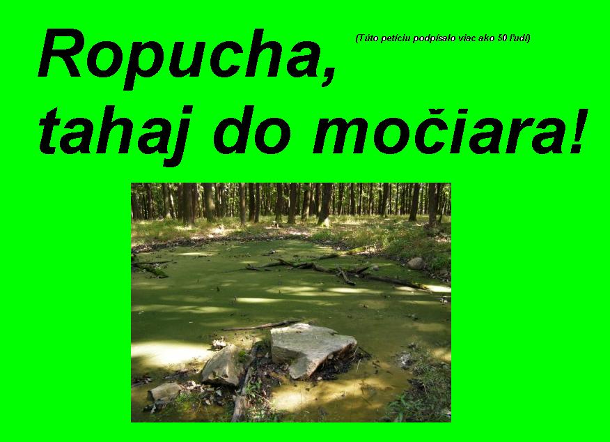 sa.JPG